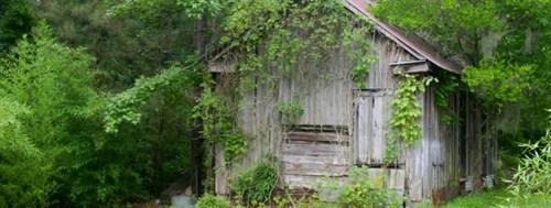 Backyard makeovers - Hiding your Shed 